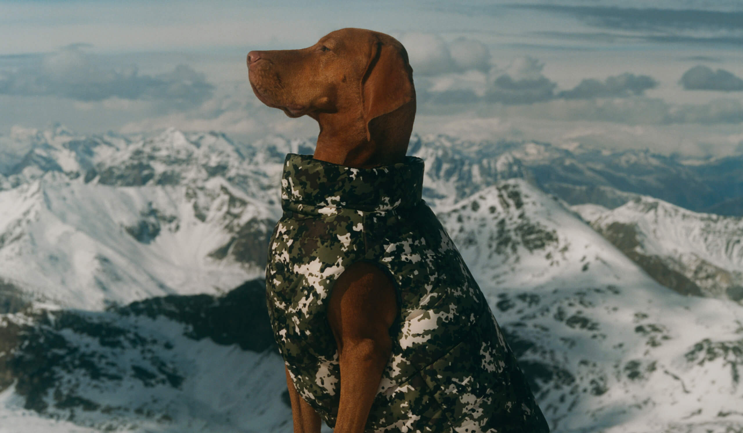 Moncler Press